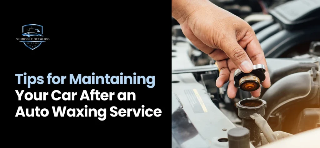 auto waxing service near me Lynnwood, WA